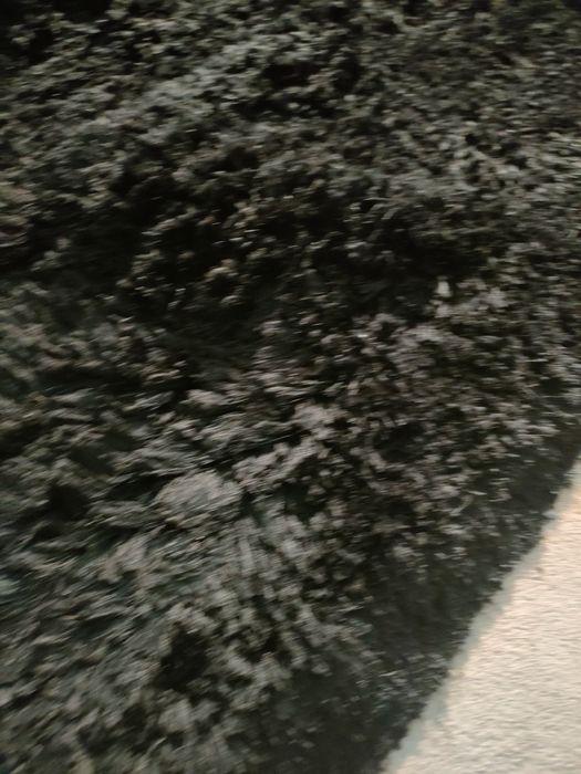 Tapetes para sala e quarto