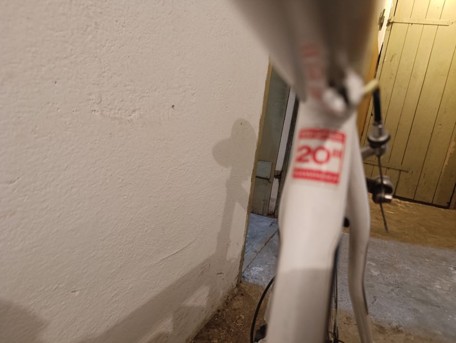 Rower Teamraider Race l