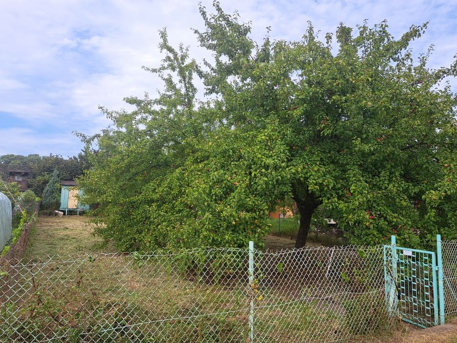 Odstąpię działkę ROD na Grobli 400m2