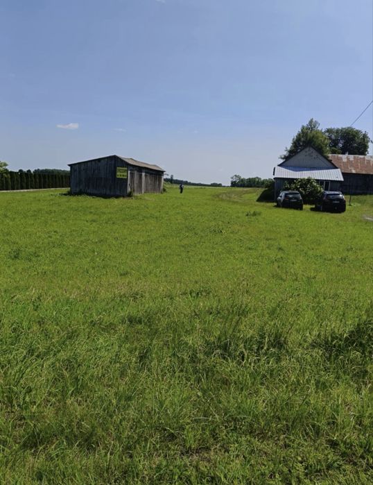 Siedlisko Zawady - Widok 3