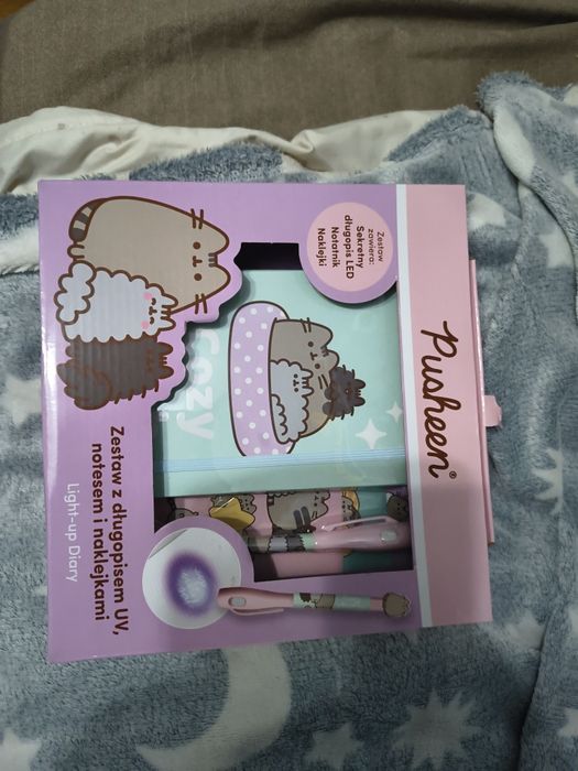 Zestaw Pusheen tajemniczy pamiętnik