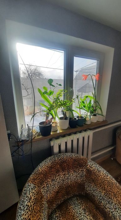 Капитальный хозяйский дом вблизи моря