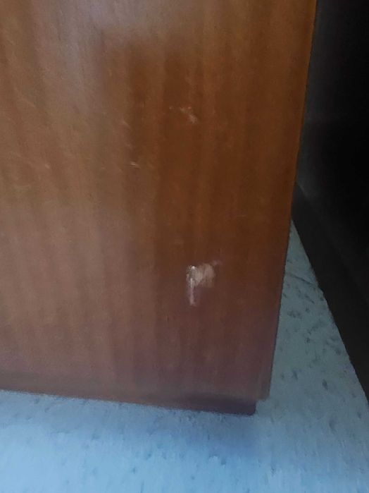 Estante em Faia castanho medio