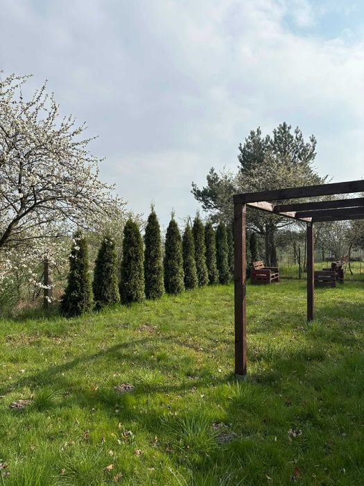 Sprzedam Działkę Rod