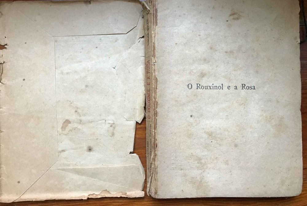 O Rouxinol e a Rosa e outros contos Oscar Wilde 1921 1 edicao