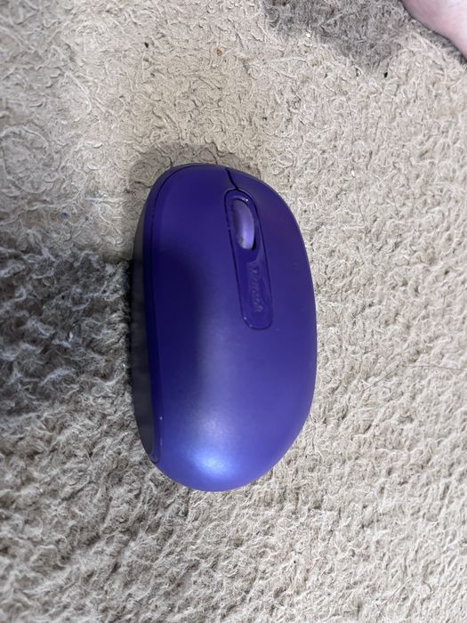 Mouse microsoft purple434772395992688642