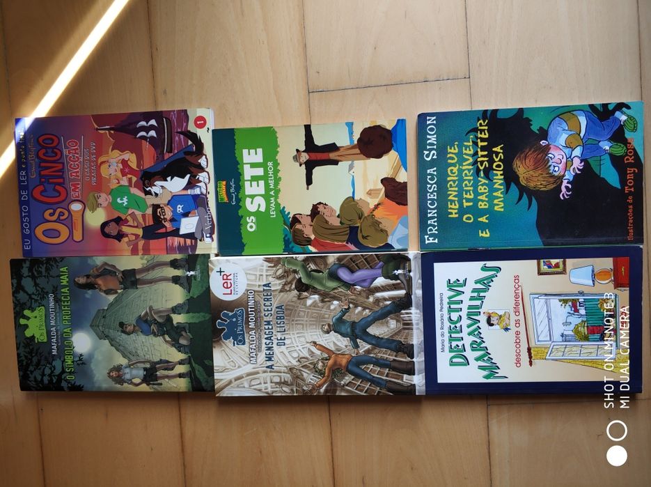 Vários Livros juvenis - os 5, os 7 ... (novos)