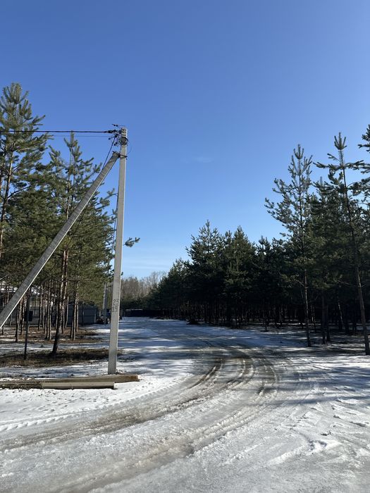 Земельна ділянка в лісі під Полтавою в котеджному містечку GREEN TOWN