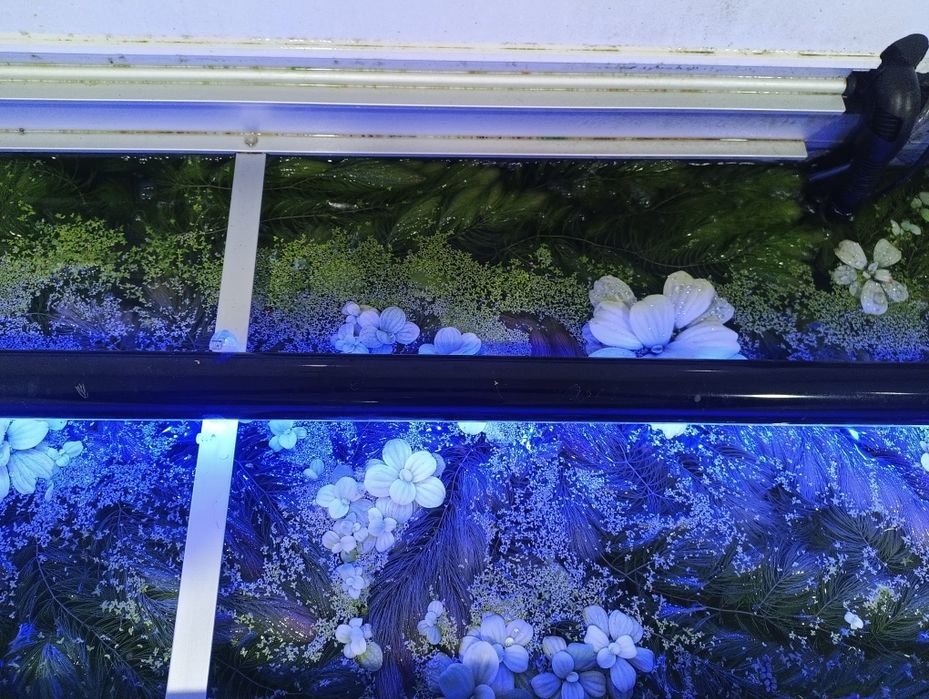 Aquário Completo Rena 300L 1,2m com Armário e Equipamento