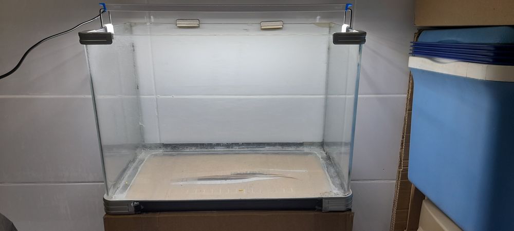 Aquário de 17Ltr com iluminação