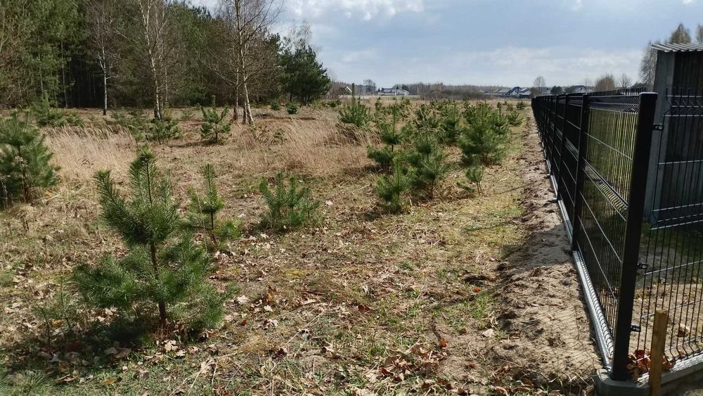 Działka na sprzedaż Kuczki Wieś/Gózd