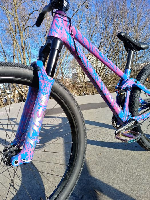 Rower Canyon 720 custom (pike,freecoaster)