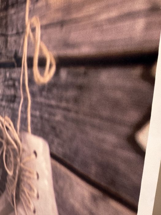 Fundo Fotográfico de Natal