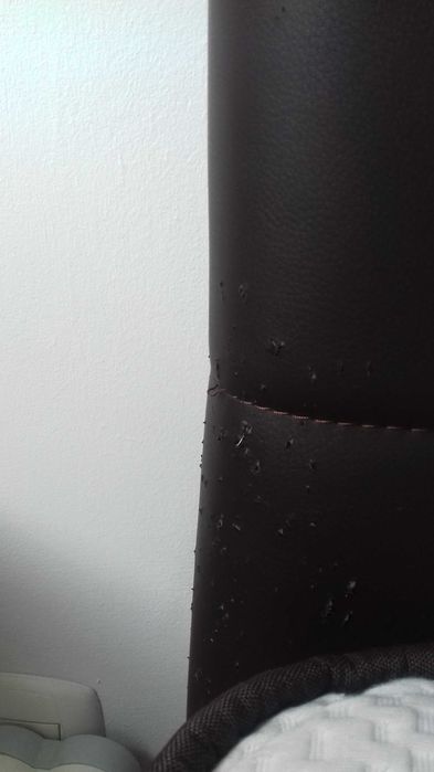 Cama casal em pele com estrado e colchão