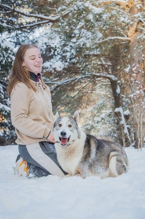 Aki - pies dla aktywnych