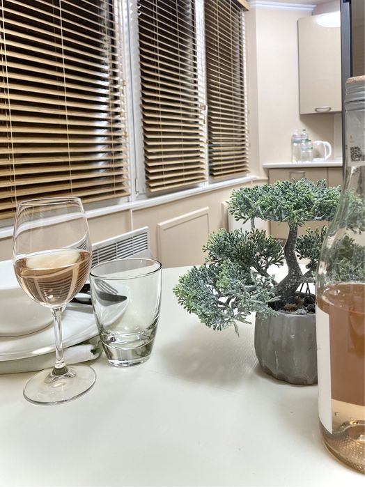 Подобова оренда 2к квартири. Центр. Опера. Богдана Хмельницького 32