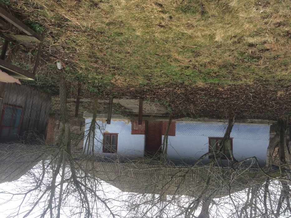 Продам житловий будинок в селі Городниця Гусятинського району.