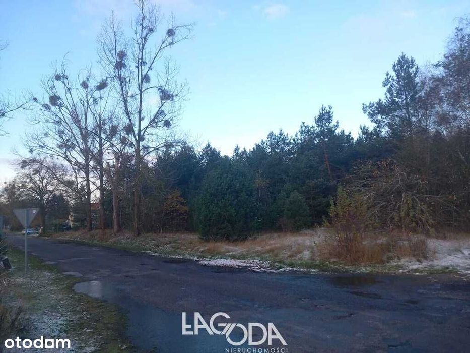 Trzcinna - działka z wydanymi warunkami zabudowy. - Widok 5