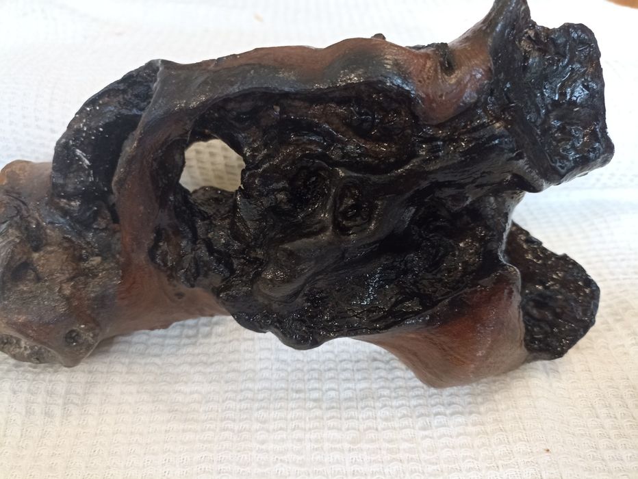 Коряги дуже гарні  для акваріума або для тераріума 2шт 250гр одна .