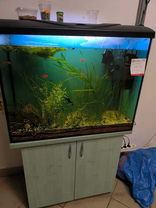 Sprzedam Akwarium z szafką 170l (80x35x60)