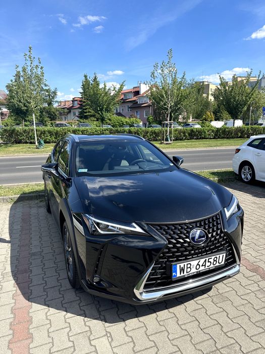Lexus UX 250H Buissness Edition, pierwszy właściciel, bezwypadkowy