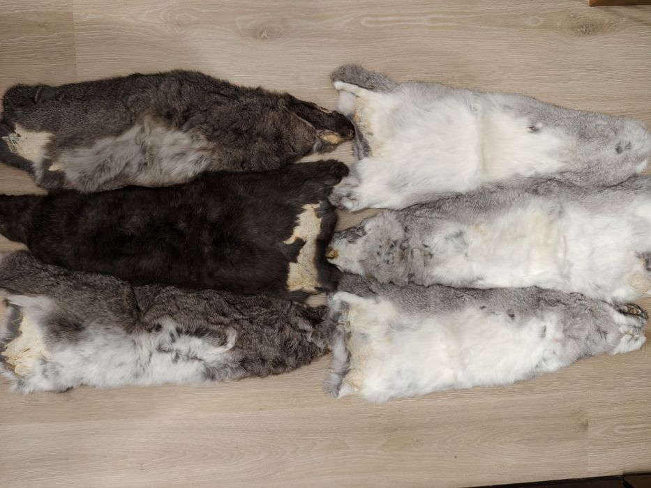 Кролячі шкури 6 штук