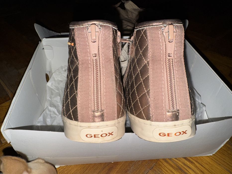 Geox, кеды, обувь geox, женские кеды, женская обувь