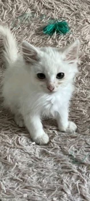 Хлопчик безкоштовно