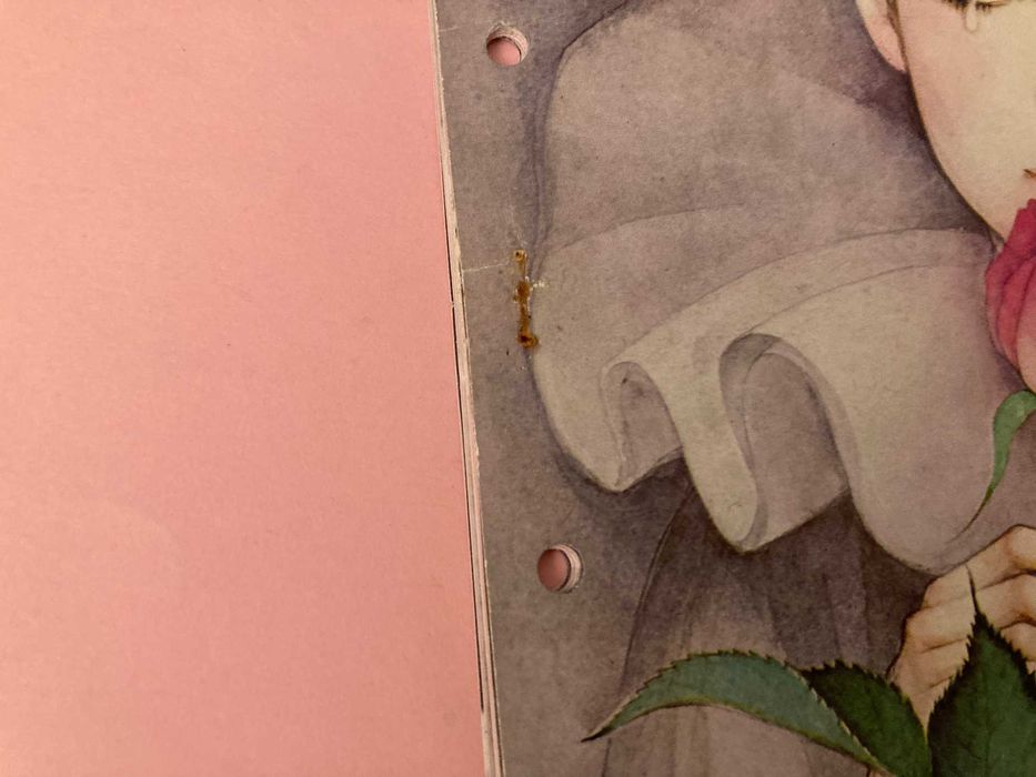 Conjunto de Separadores para Dossiers Escolares Pierrot Love Ambar