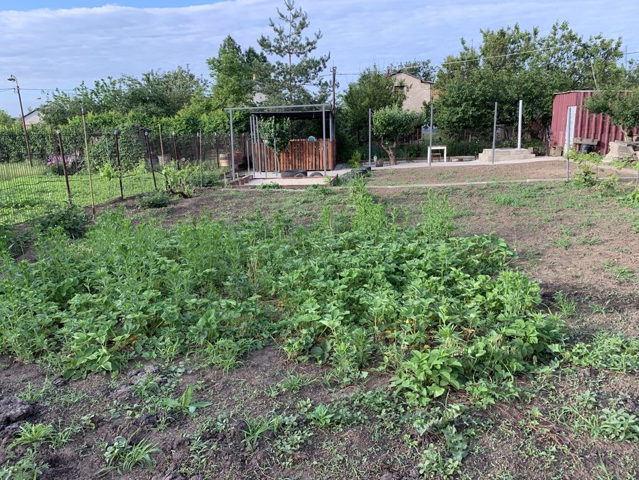 Продам гарну дачу (біля Новослобідки)