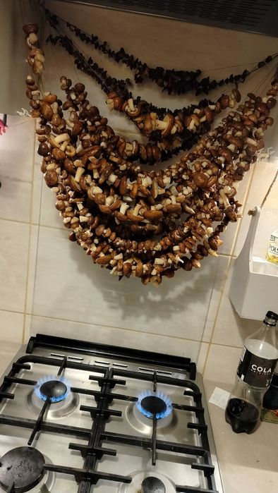 Grzybki suszone 1 kg