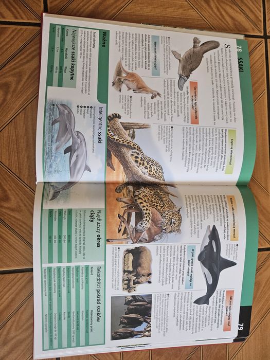 Encyklopedia dla ciekawskich