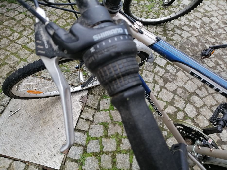 Rowery Author prime vectra