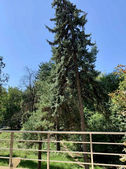 Оренда квартири студії в центрі міста/Dream City/Дрім Сіті/Гойдти