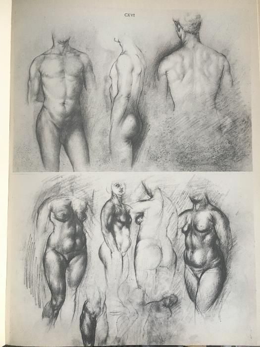 Анатомия для художников / Йене Барчаи, третье издание, 1959 год