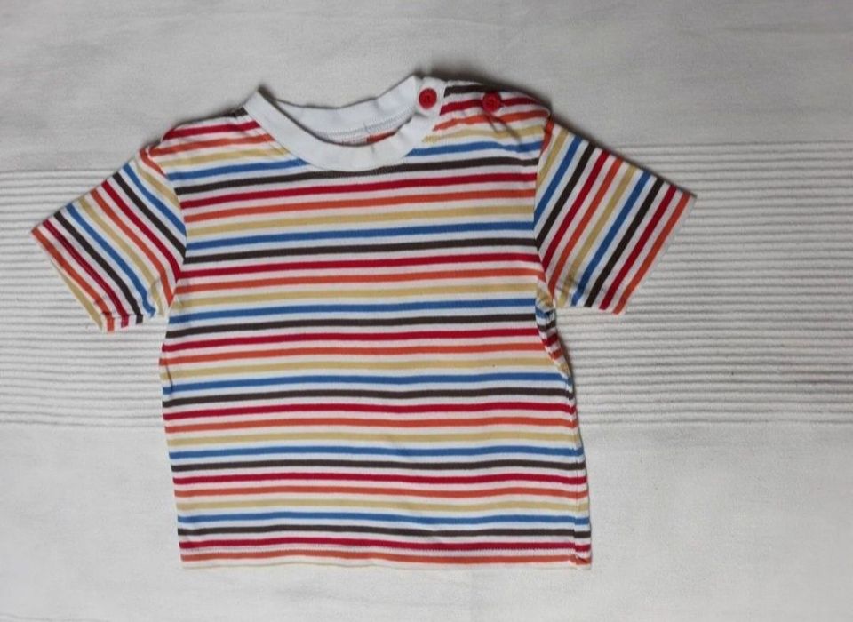 polówki 80cm koszulki polo