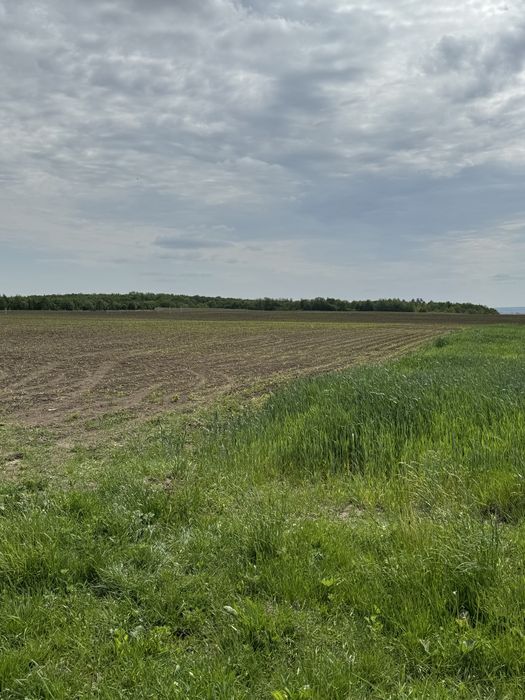 Продам ділянку 5.8 га біля житлового масиву