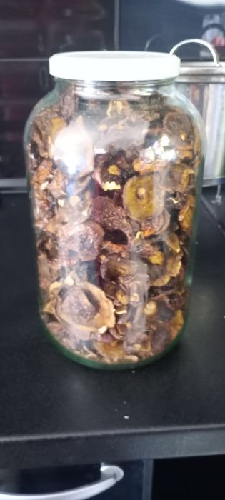 Sprzedam grzyby suszone