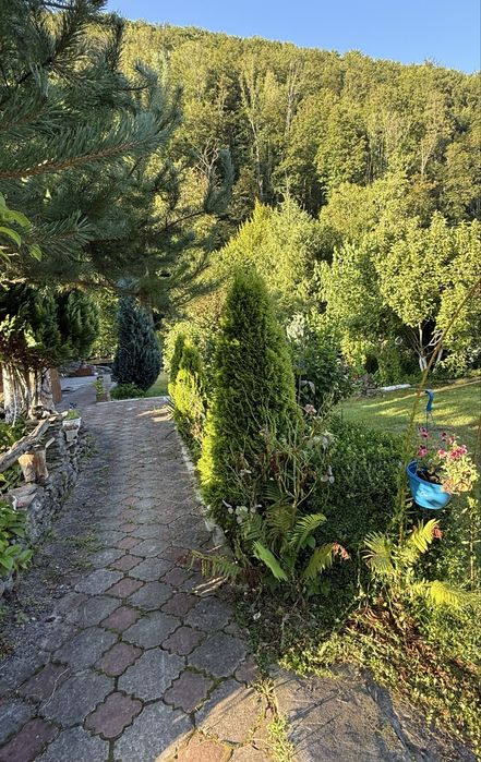 Будинок для Відпочинку Закарпаття, м. Свалява.