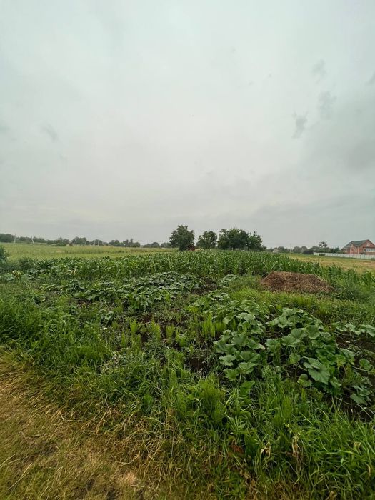 Продам земельну ділянку Щітки