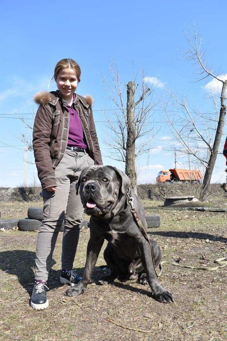 Кінолог, зоопсихолог, дресирування собак, вигул, перетримка