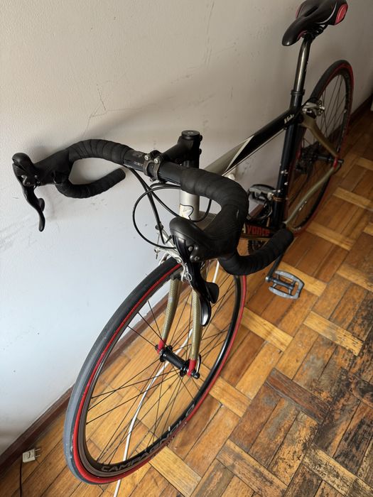 Biciclete Estrada