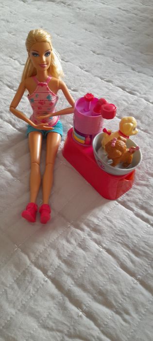 Barbie Veterinária