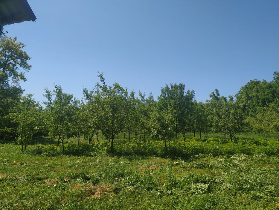 Продам будинок в с.Пудлівці