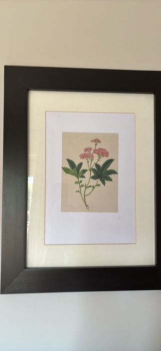 Quadros IKEA moldura preta com flores