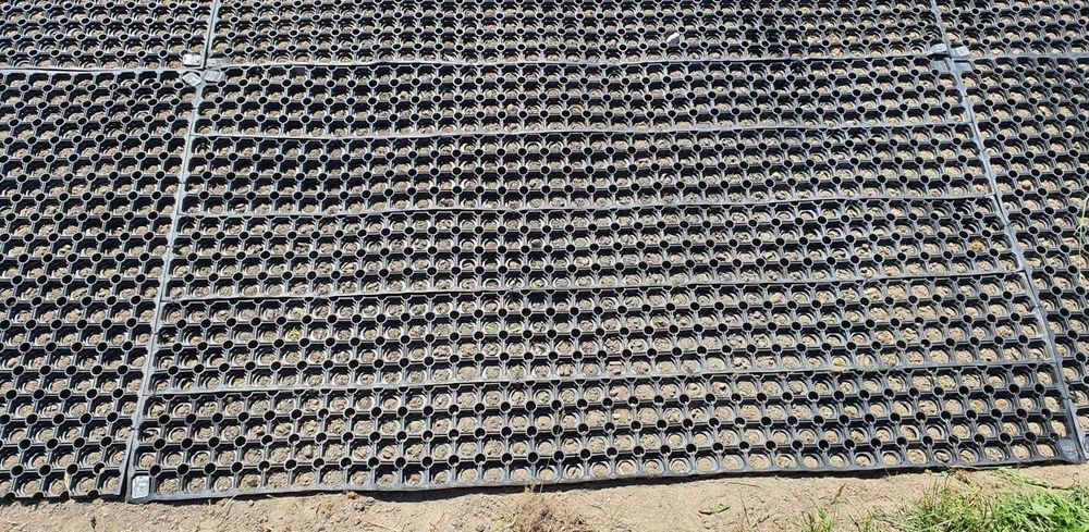 Mata przerostowa / guma siatkowa, BARDZO TRWAŁA, błyskawiczna wysyłka