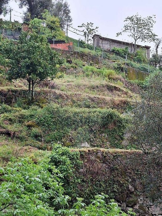 Terreno  para venda