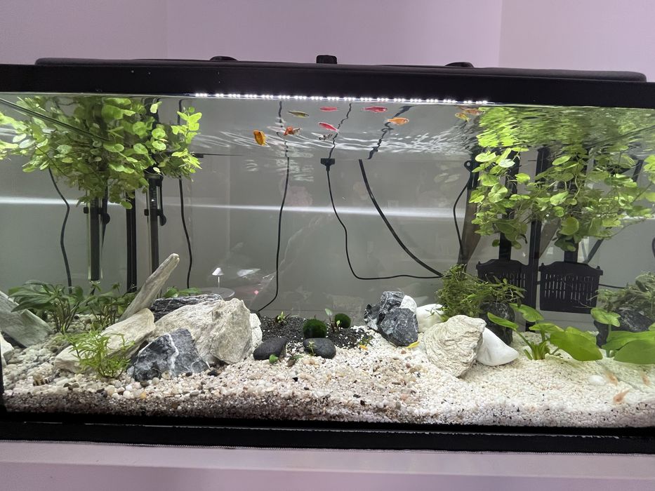 Akwrium proste 112 L
