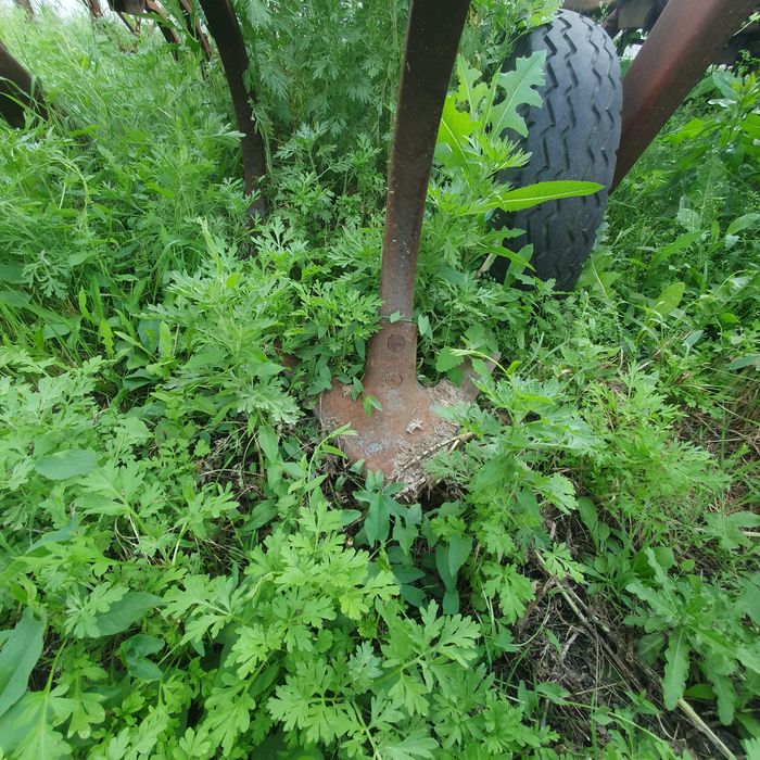 Продам культиватор КТС-10-1