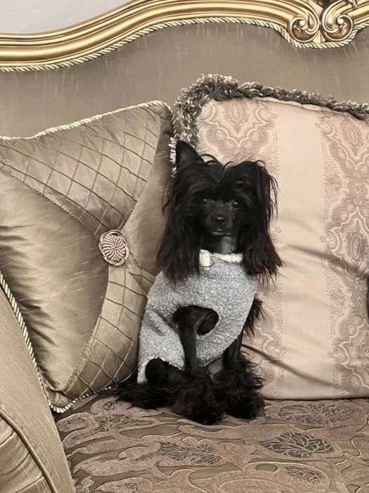 КХС. Девочка. Пуховка